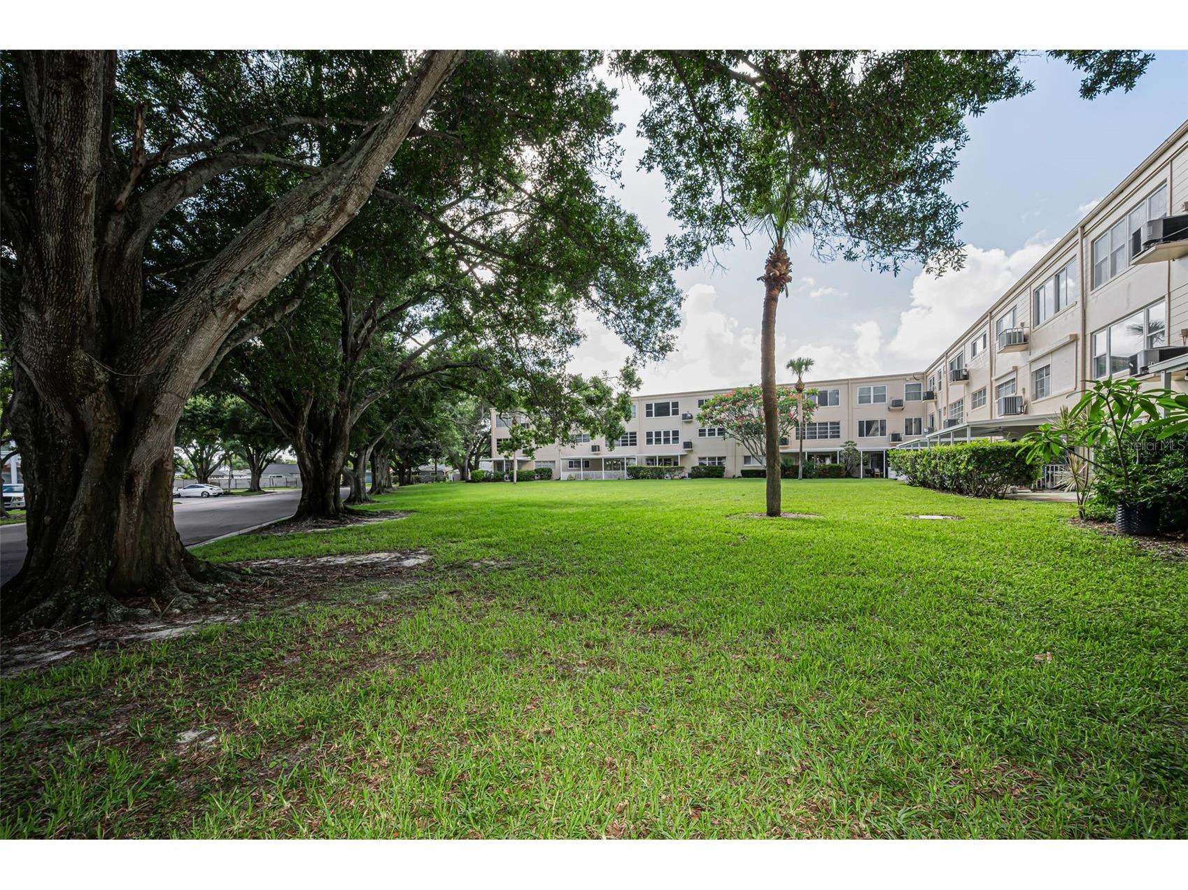 2384 Tahitian Lane #22 Clearwater FL 33763 TB8513285 image26