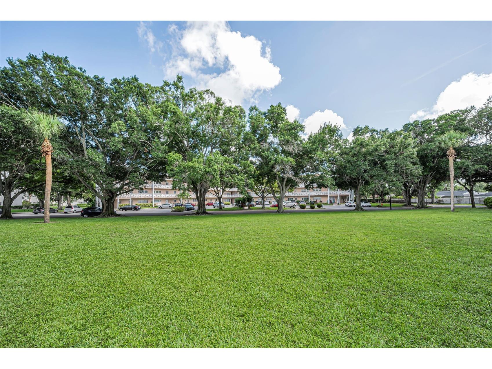 2384 Tahitian Lane #22 Clearwater FL 33763 TB8513285 image27