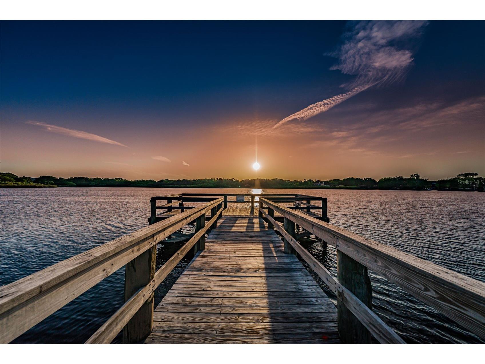 2384 Tahitian Lane #22 Clearwater FL 33763 TB8513285 image53