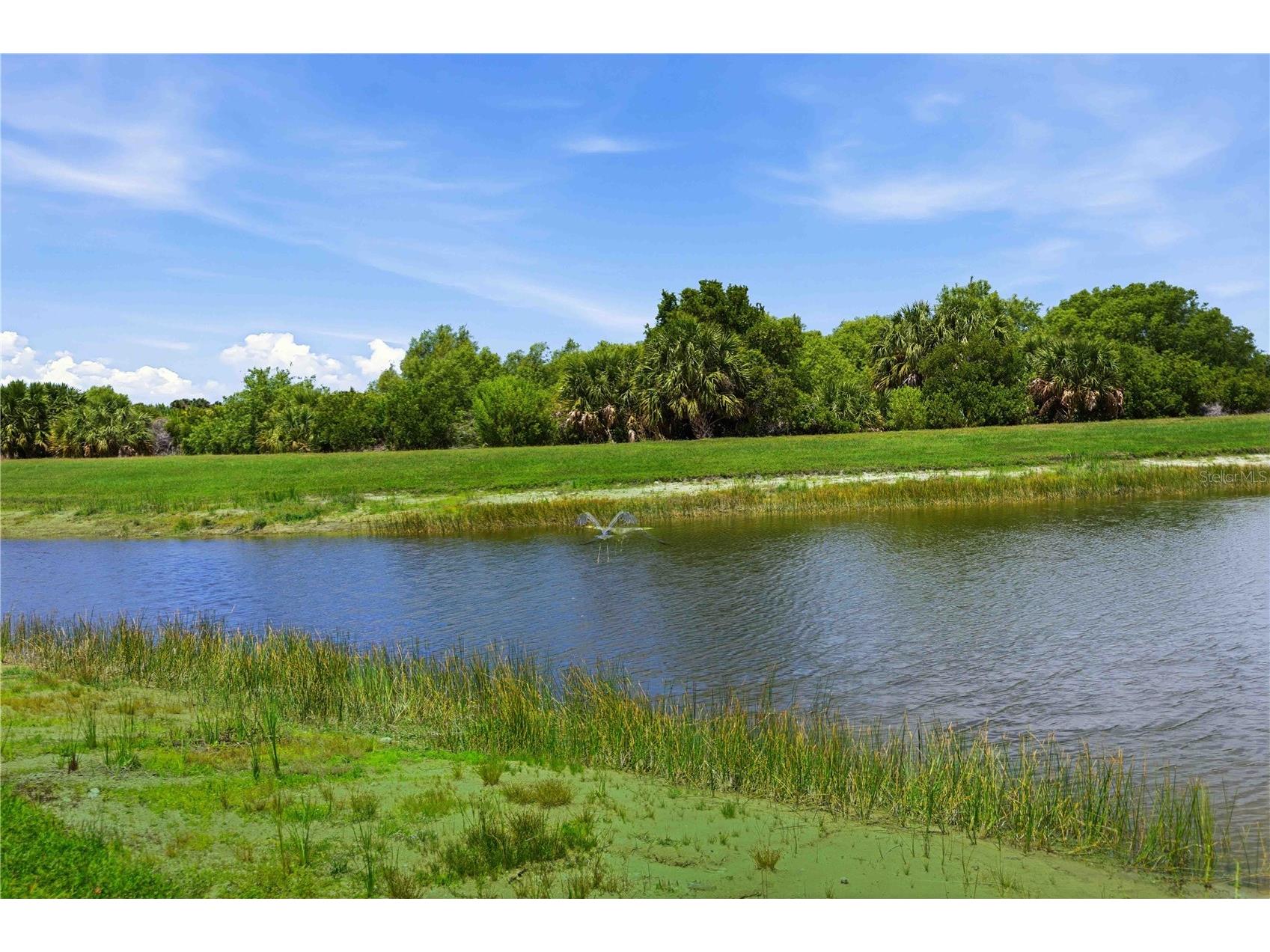 23841 Waverly Circle Venice FL 34293 D6147290 image70