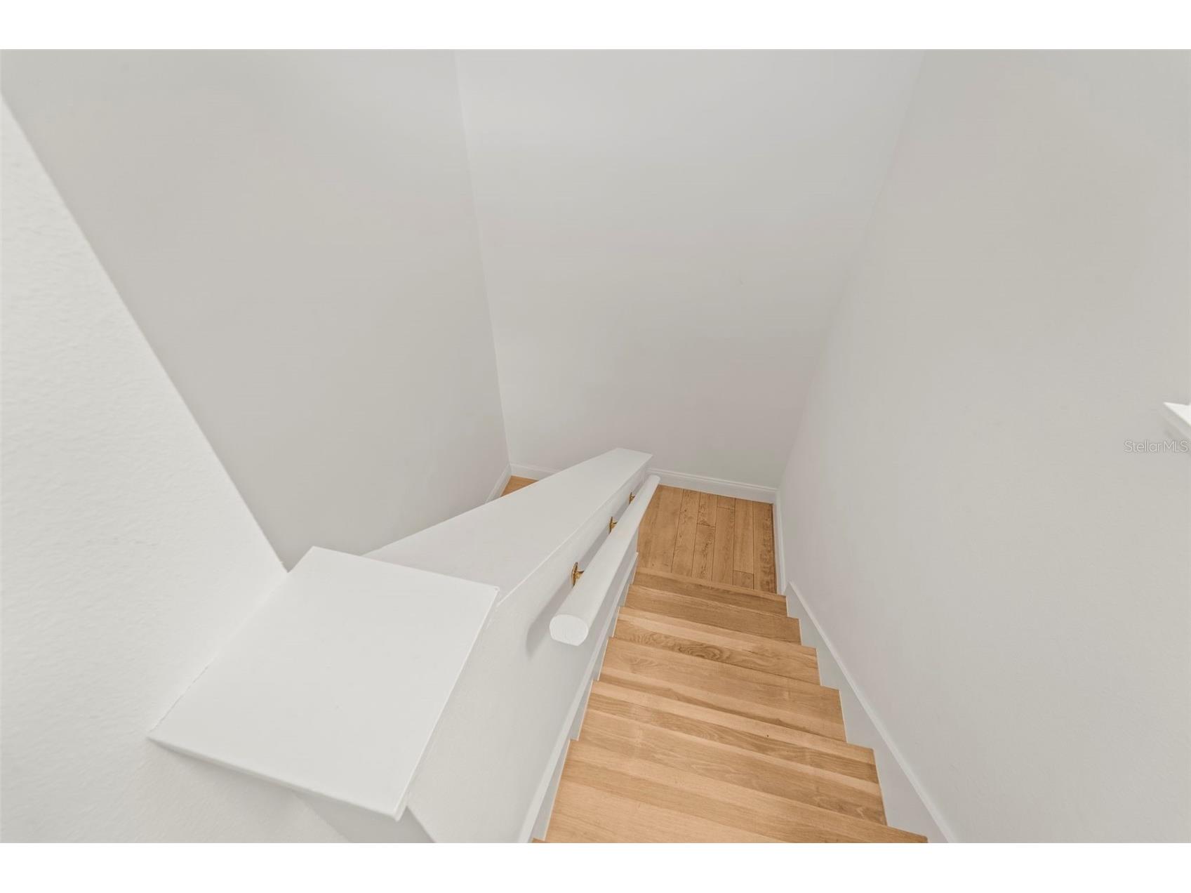 2385 Hanover Drive Dunedin FL 34698 TB8463846 image39