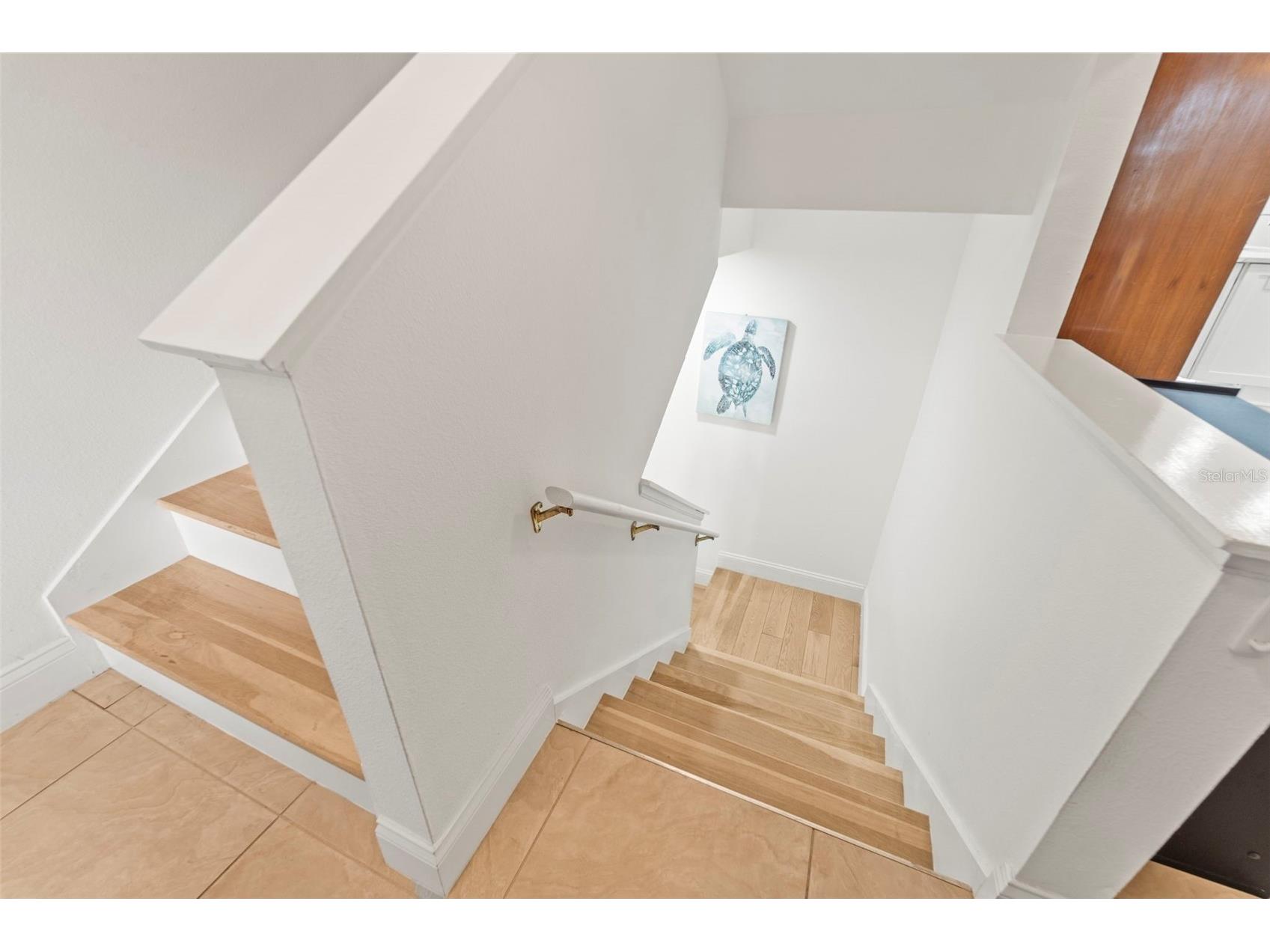 2385 Hanover Drive Dunedin FL 34698 TB8463846 image49