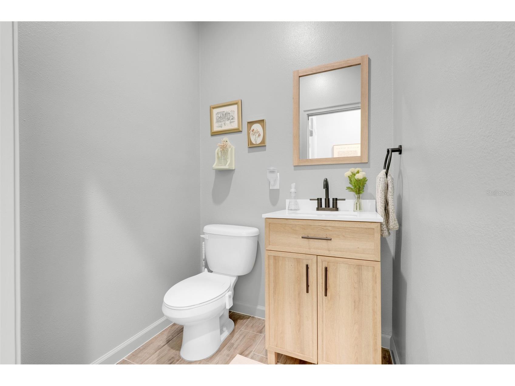 2385 Sirena Lane Mount Dora FL 32757 O6386182 image16