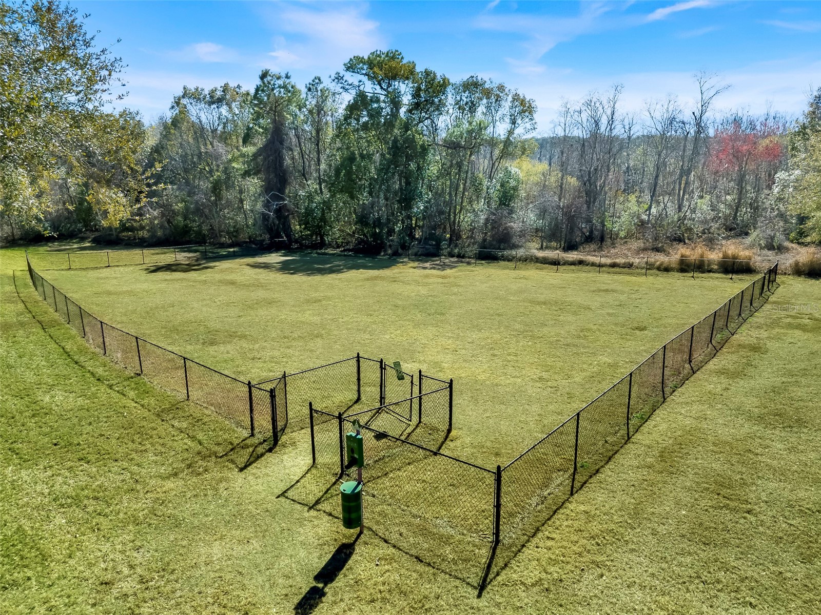 2385 Sirena Lane Mount Dora FL 32757 O6386182 image36