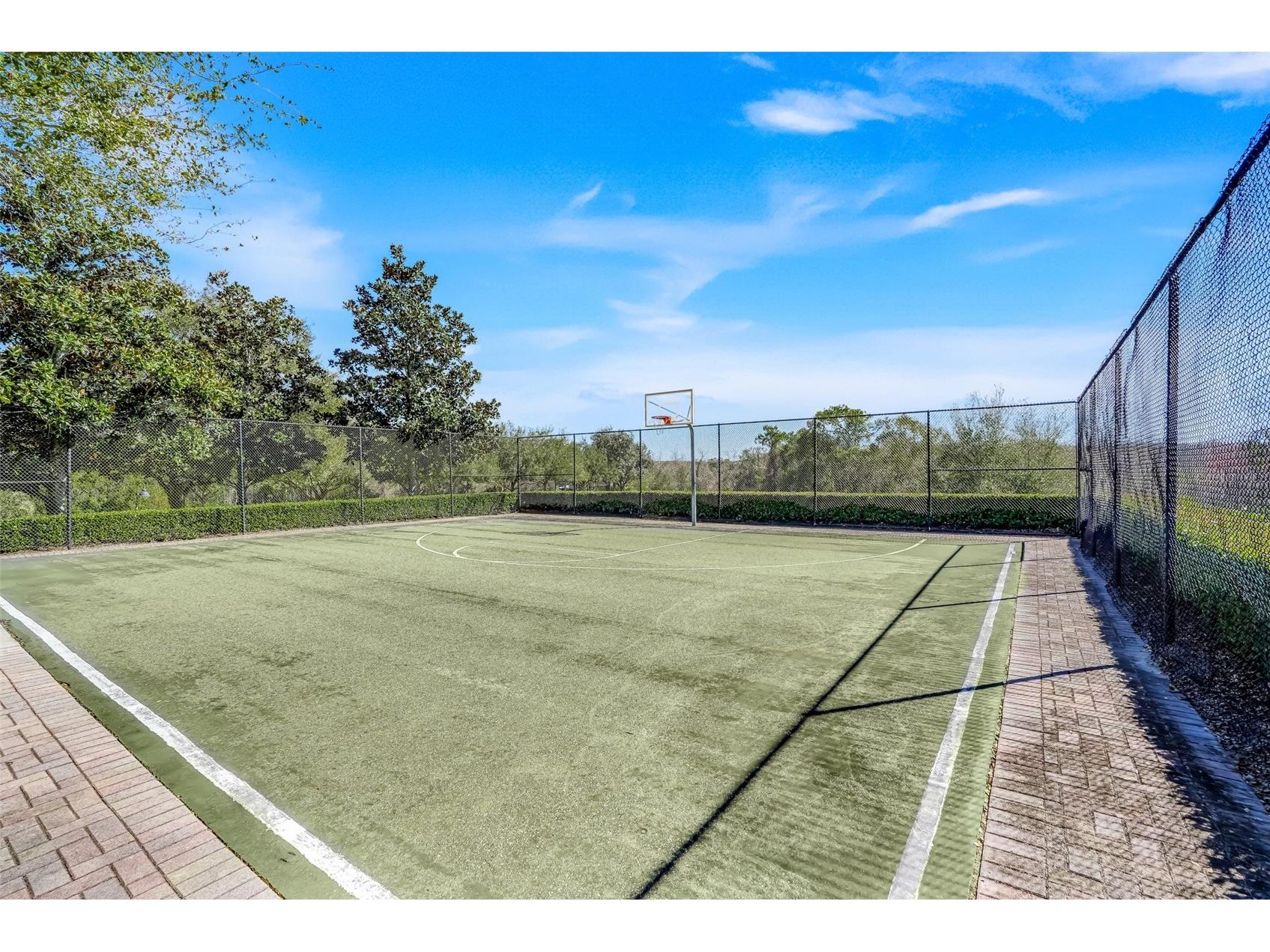2385 Sirena Lane Mount Dora FL 32757 O6386182 image38