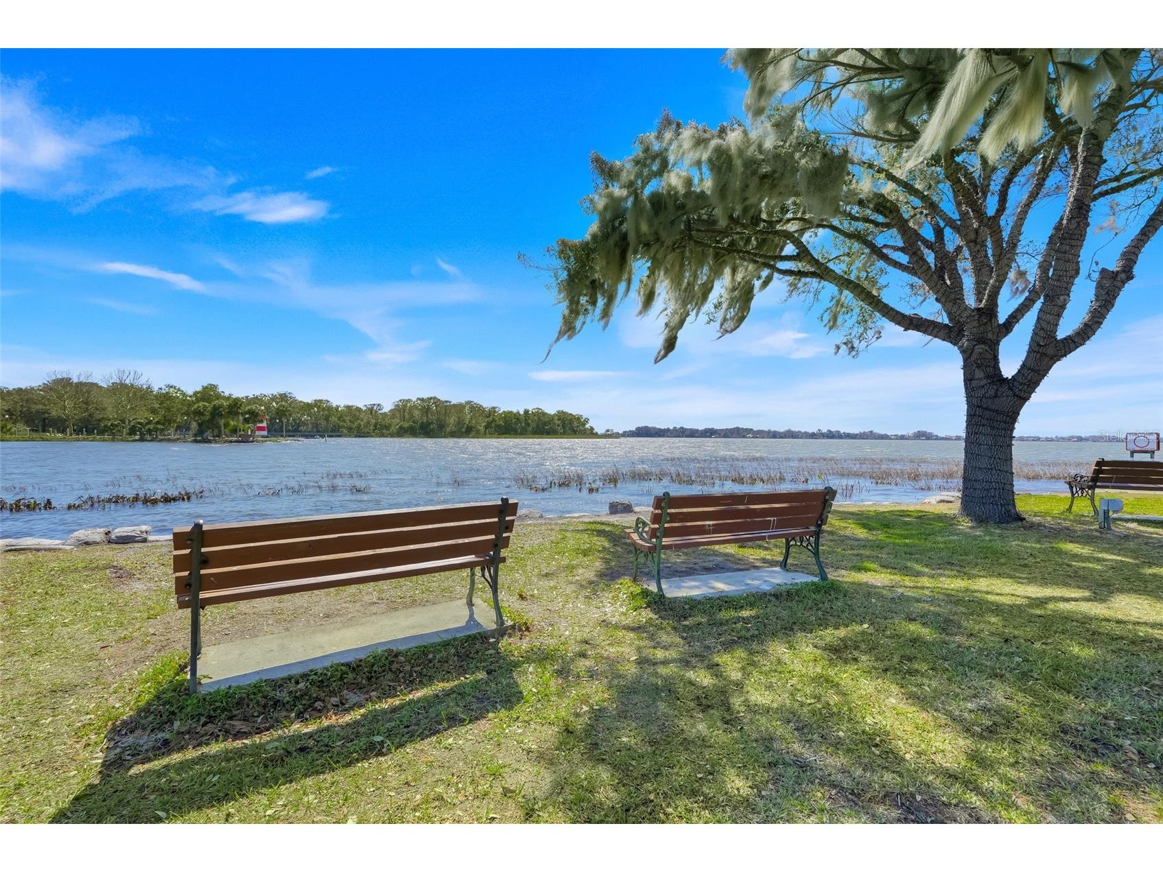 2385 Sirena Lane Mount Dora FL 32757 O6386182 image43