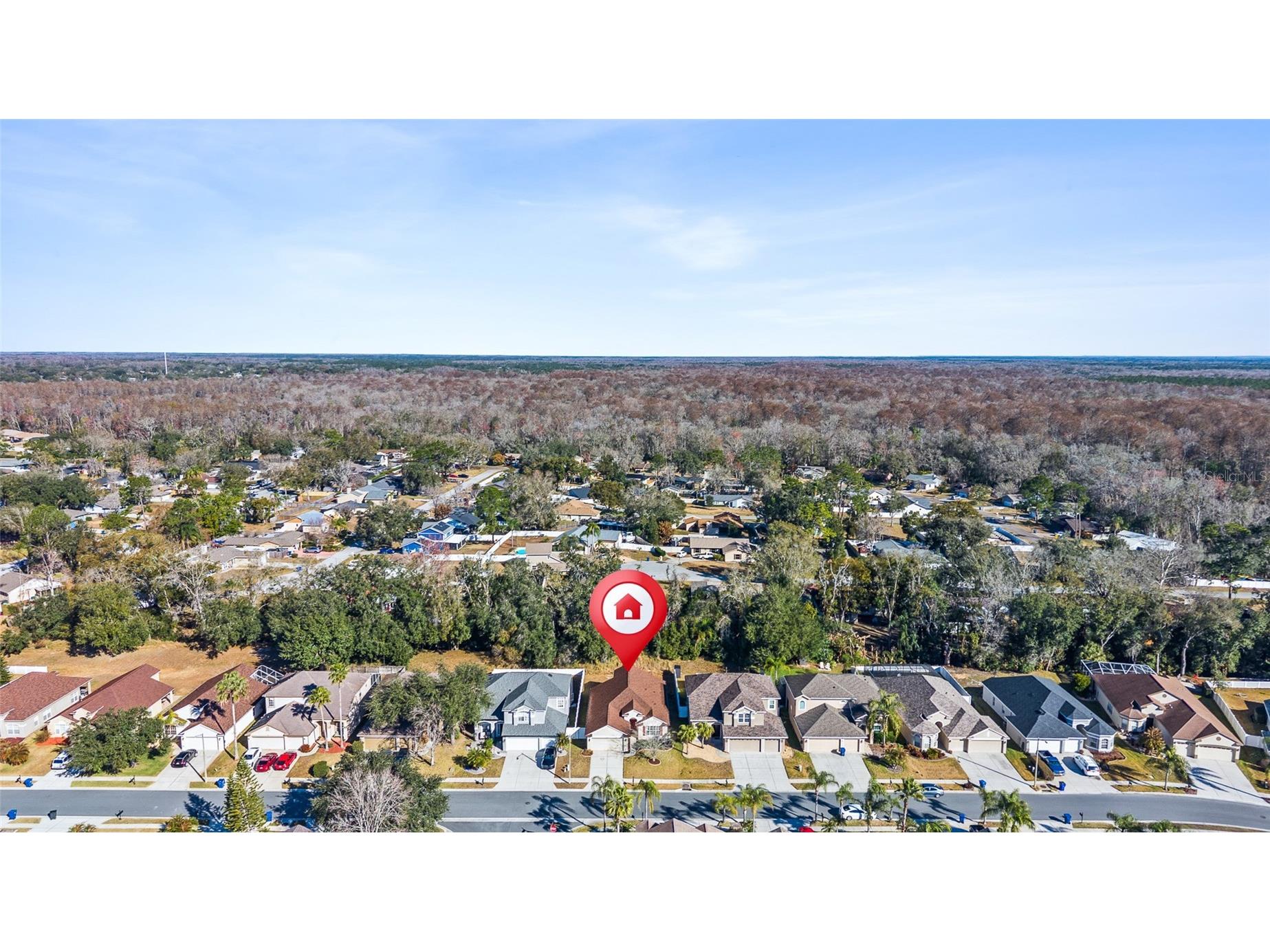 23851 Hastings Way Land O Lakes FL 34639 TB8475427 image42