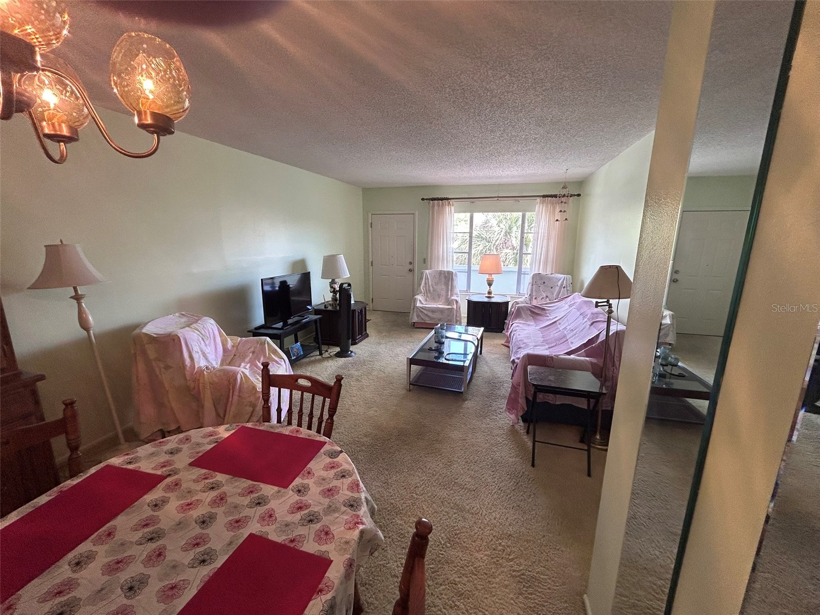 2386 Sumatran Way #68 Clearwater FL 33763 TB8504912 image11