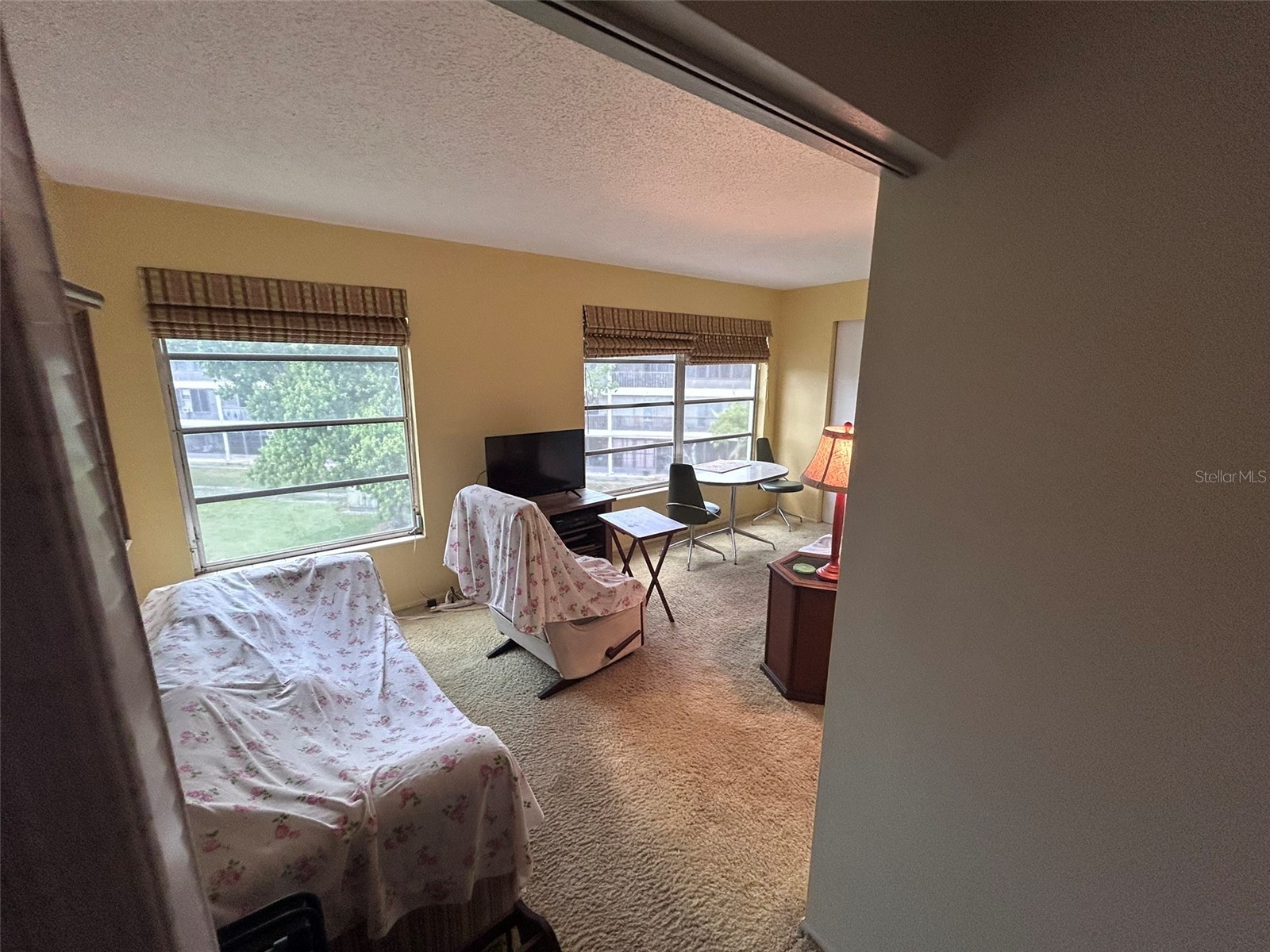 2386 Sumatran Way #68 Clearwater FL 33763 TB8504912 image15