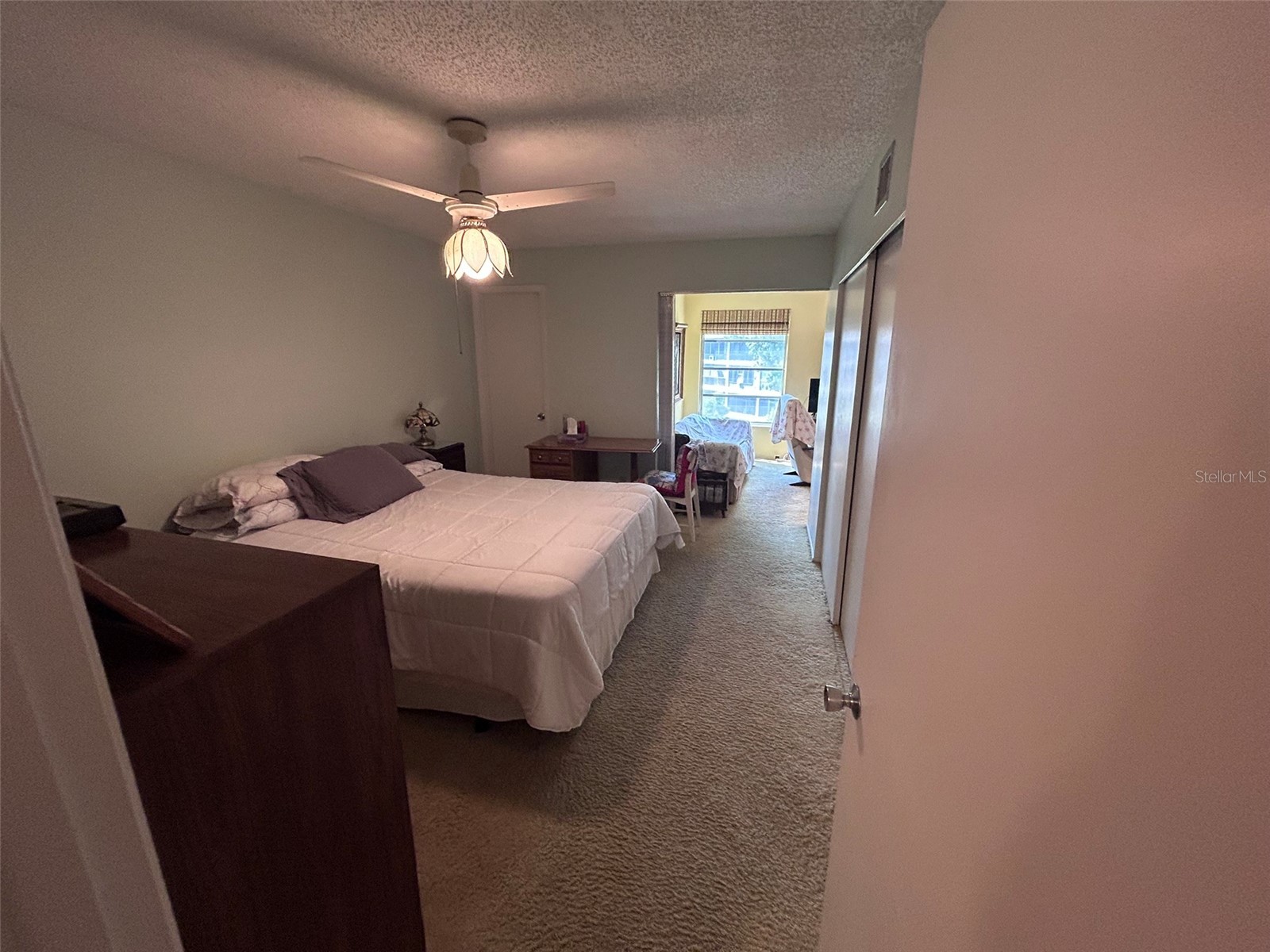 2386 Sumatran Way #68 Clearwater FL 33763 TB8504912 image21