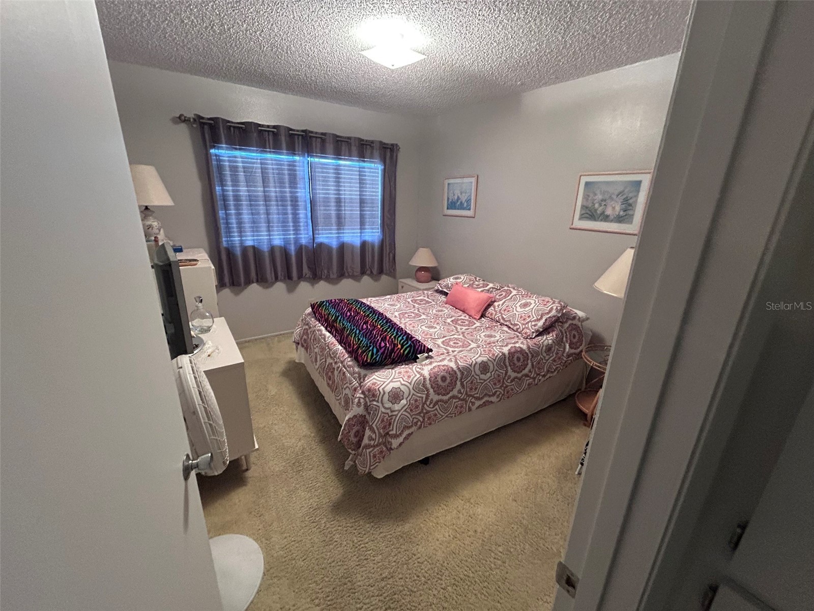 2386 Sumatran Way #68 Clearwater FL 33763 TB8504912 image25