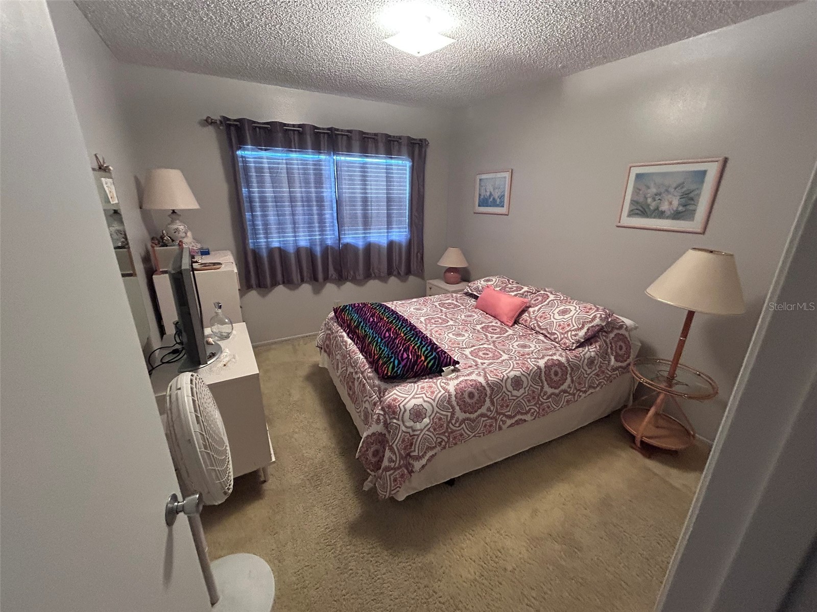 2386 Sumatran Way #68 Clearwater FL 33763 TB8504912 image26