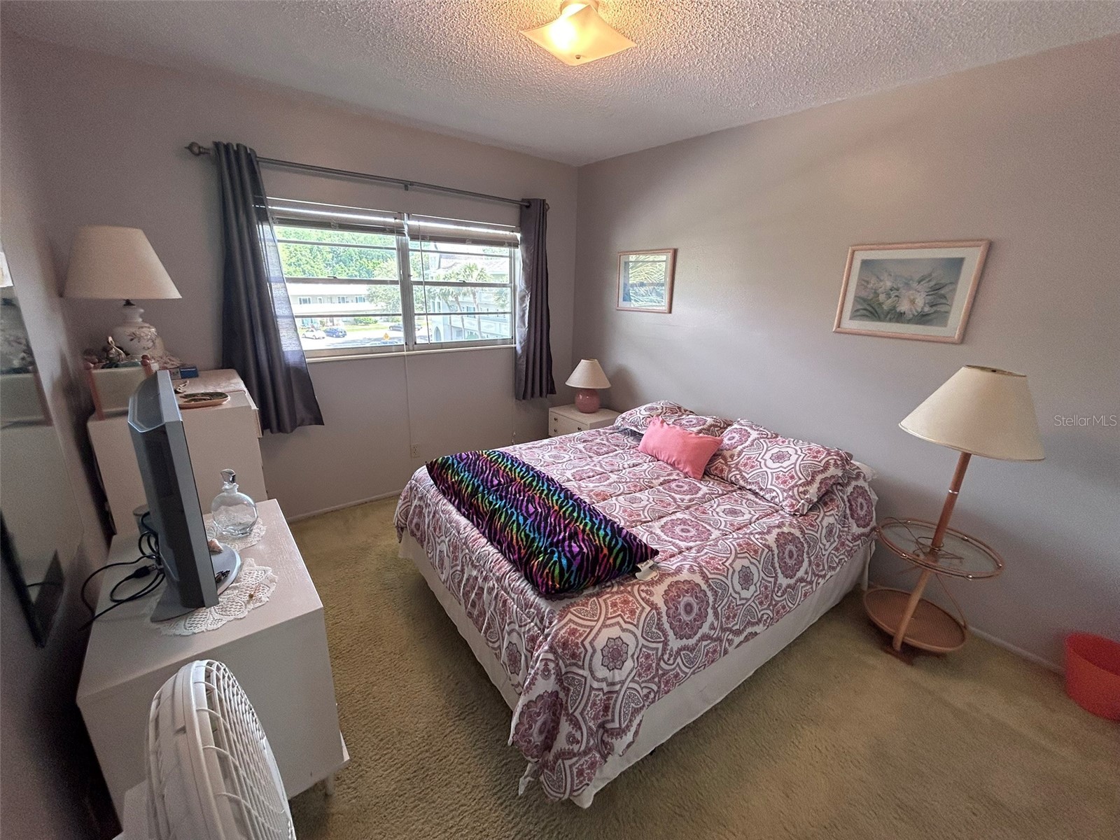 2386 Sumatran Way #68 Clearwater FL 33763 TB8504912 image27