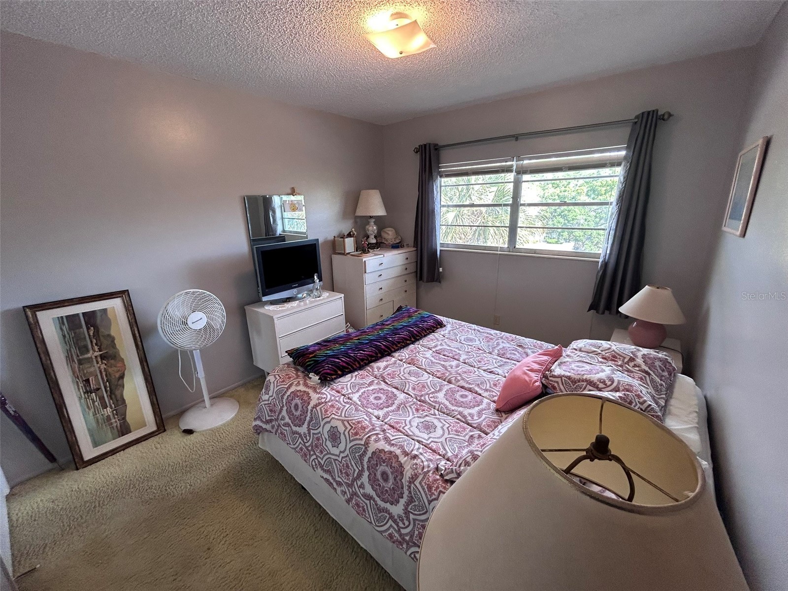 2386 Sumatran Way #68 Clearwater FL 33763 TB8504912 image28