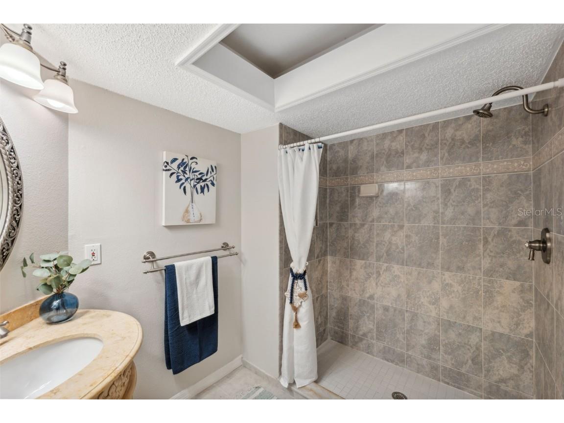 2387 Hanover Drive #2387 Dunedin FL 34698 TB8373565 image31