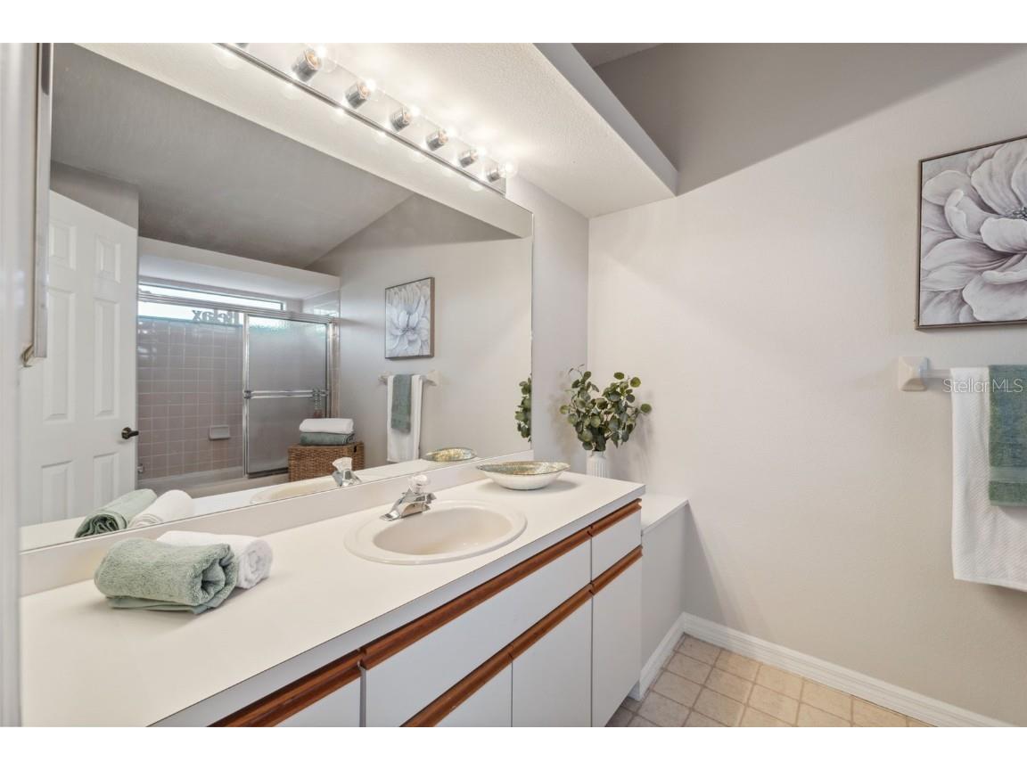 2387 Hanover Drive #2387 Dunedin FL 34698 TB8373565 image43