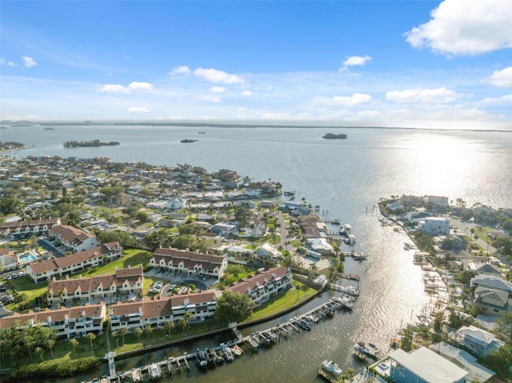 2387 Hanover Drive #2387 Dunedin FL 34698 TB8373565 image63