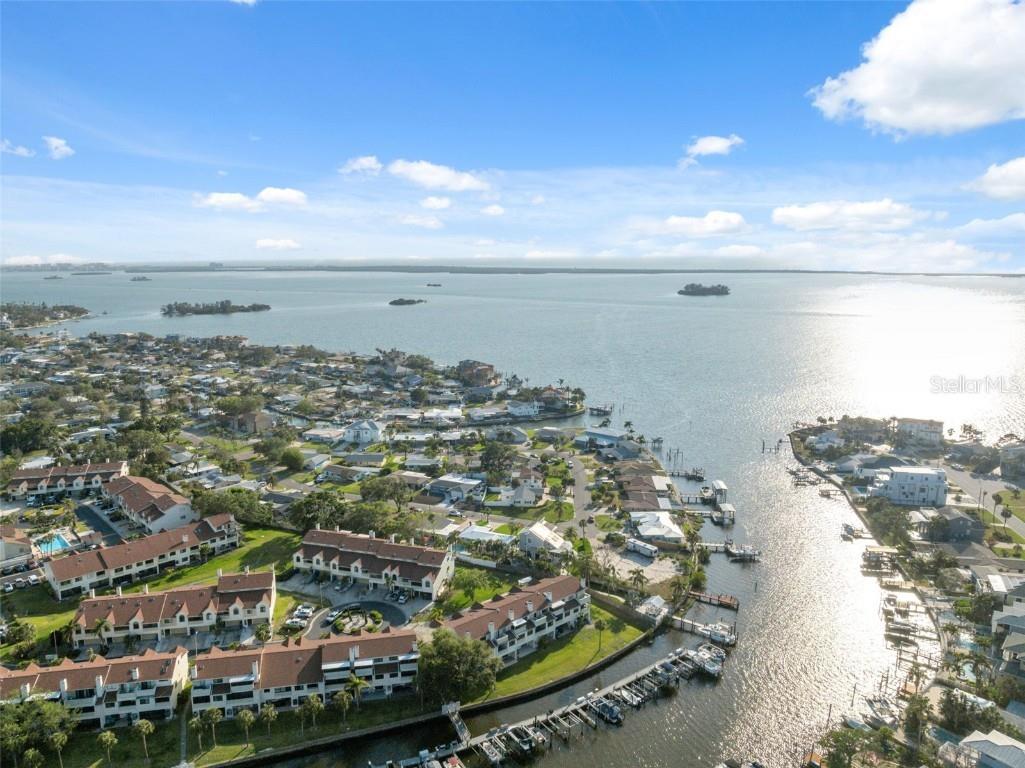 2387 Hanover Drive #2387 Dunedin FL 34698 TB8373565 image67