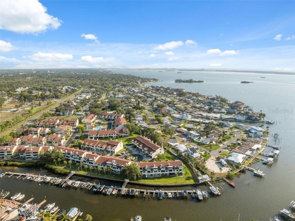 2387 Hanover Drive #2387 Dunedin FL 34698 TB8373565 image71