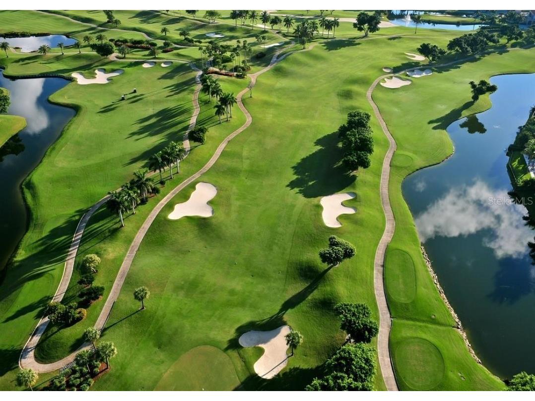 2387 Hanover Drive #2387 Dunedin FL 34698 TB8373565 image81