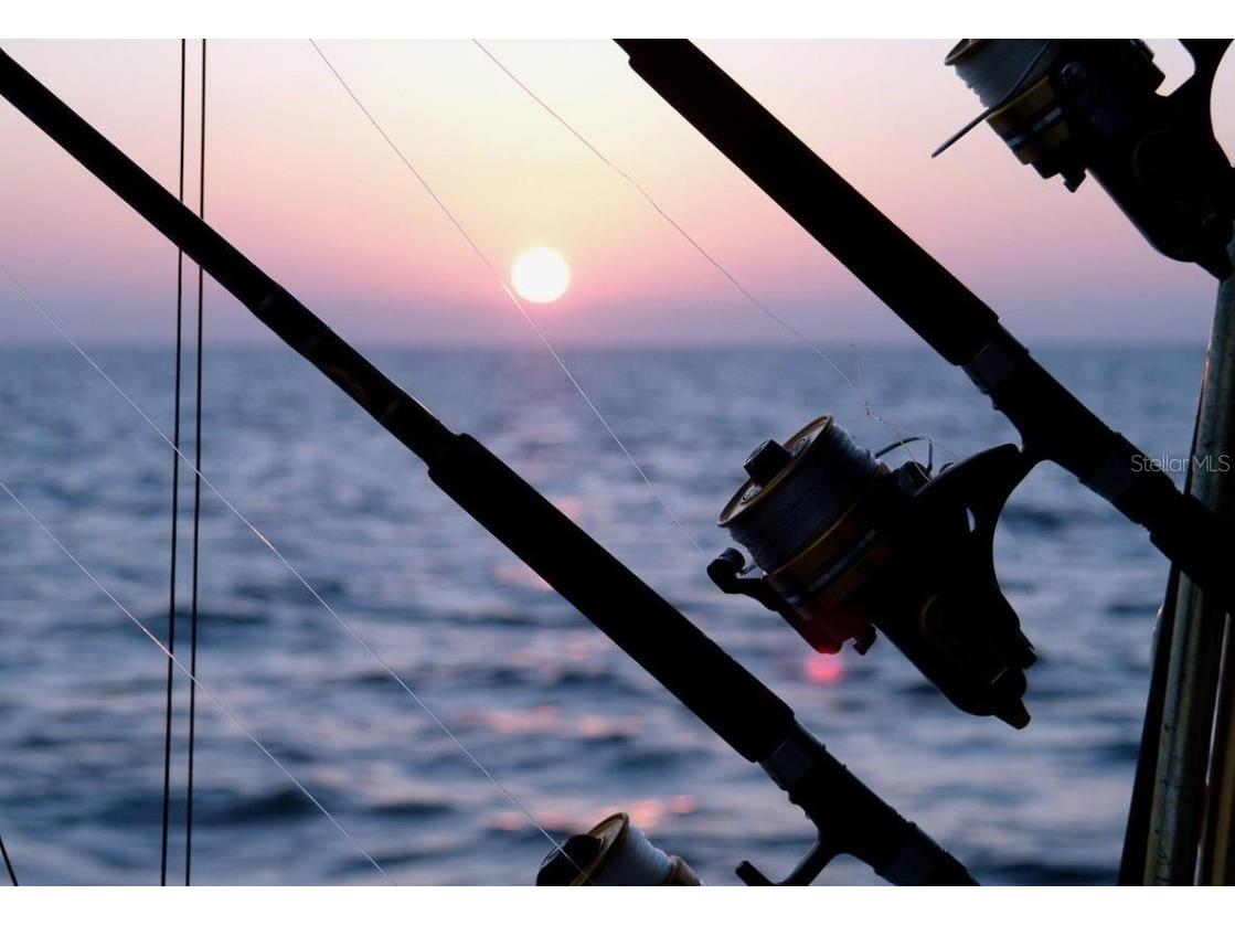 2387 Hanover Drive #2387 Dunedin FL 34698 TB8373565 image82