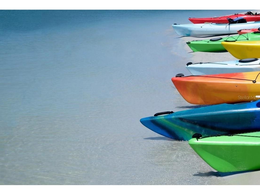 2387 Hanover Drive #2387 Dunedin FL 34698 TB8373565 image84