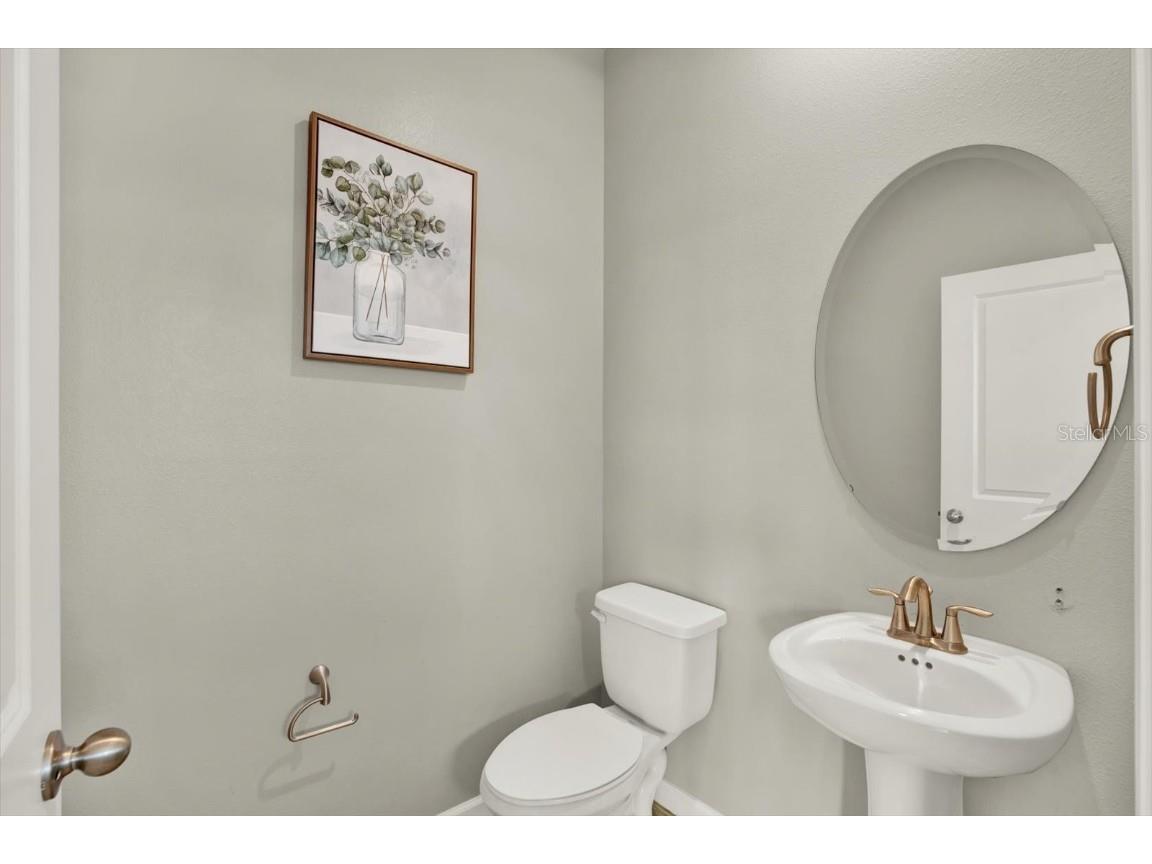 2388 Audubon Preserve Lane Lutz FL 33558 TB8447507 image12