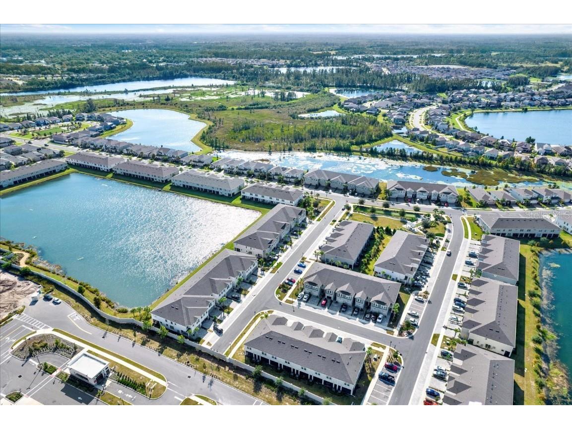 2388 Audubon Preserve Lane Lutz FL 33558 TB8447507 image23