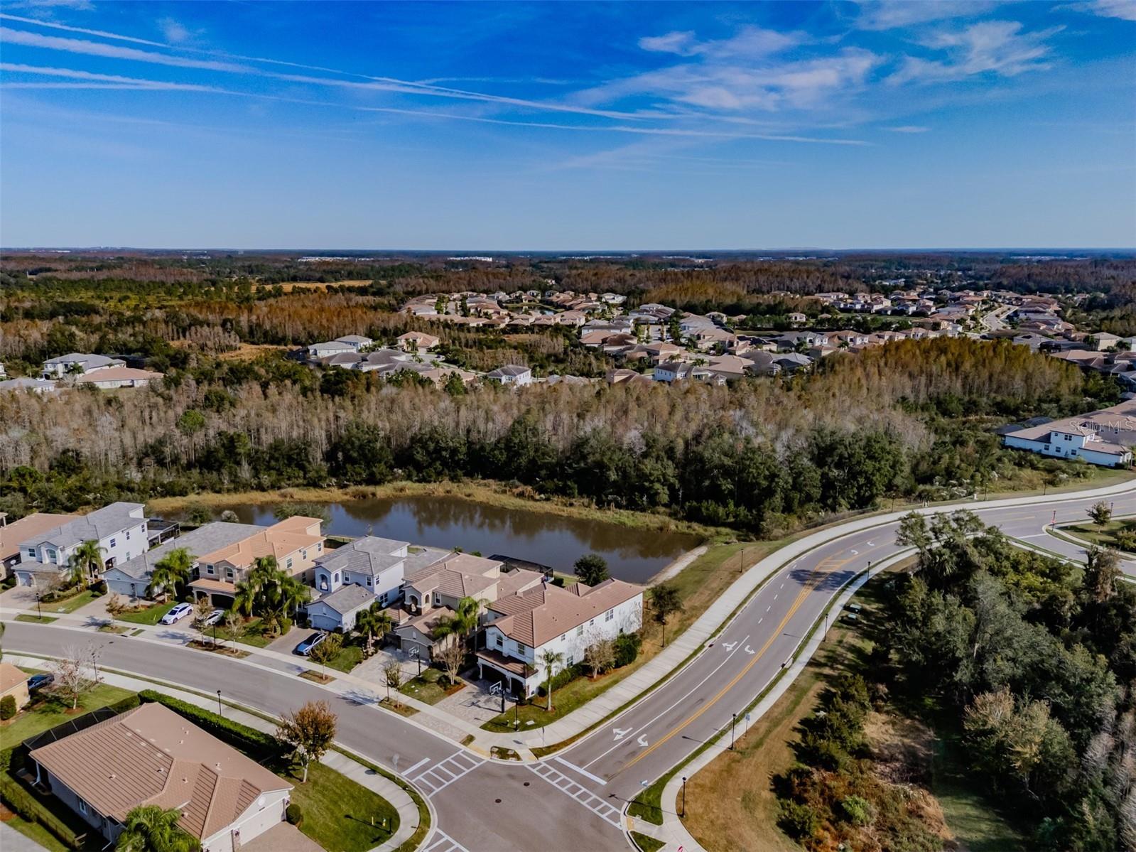 2388 Oakwood Preserve Drive Wesley Chapel FL 33543 TB8393247 image100