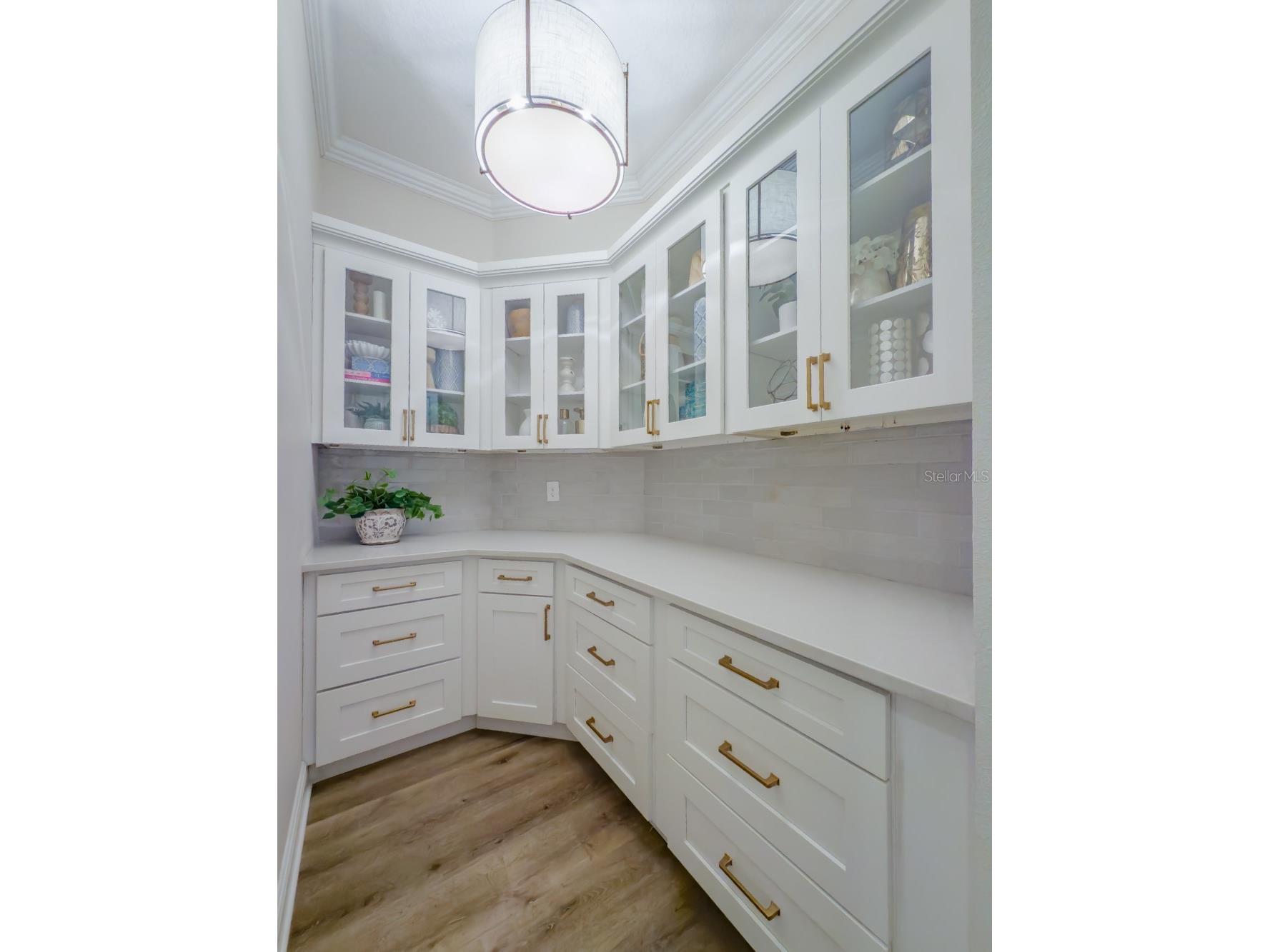 2388 Oakwood Preserve Drive Wesley Chapel FL 33543 TB8393247 image22