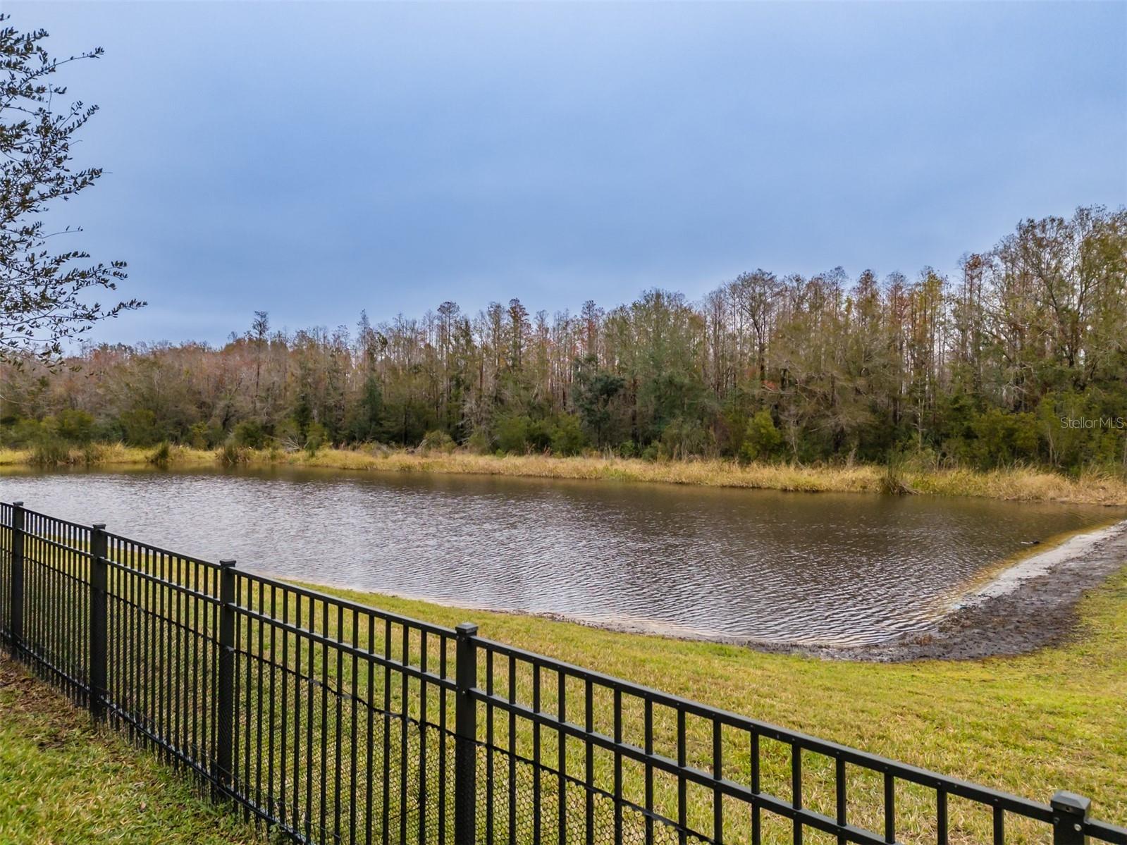 2388 Oakwood Preserve Drive Wesley Chapel FL 33543 TB8393247 image72