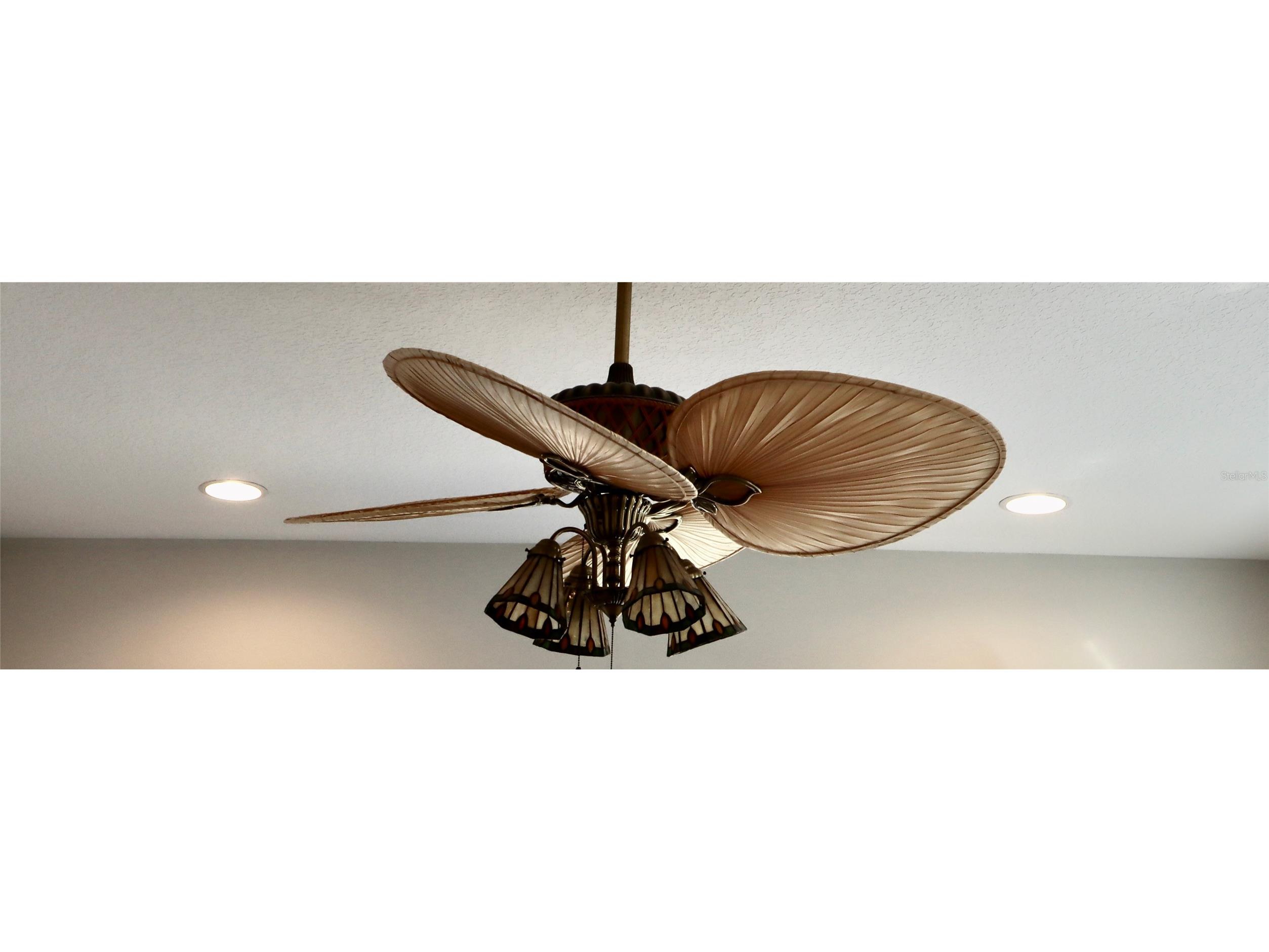 2389 Pawtucket Pass Mount Dora FL 32757 - LAKES OF MOUNT DORA G5105578 image36