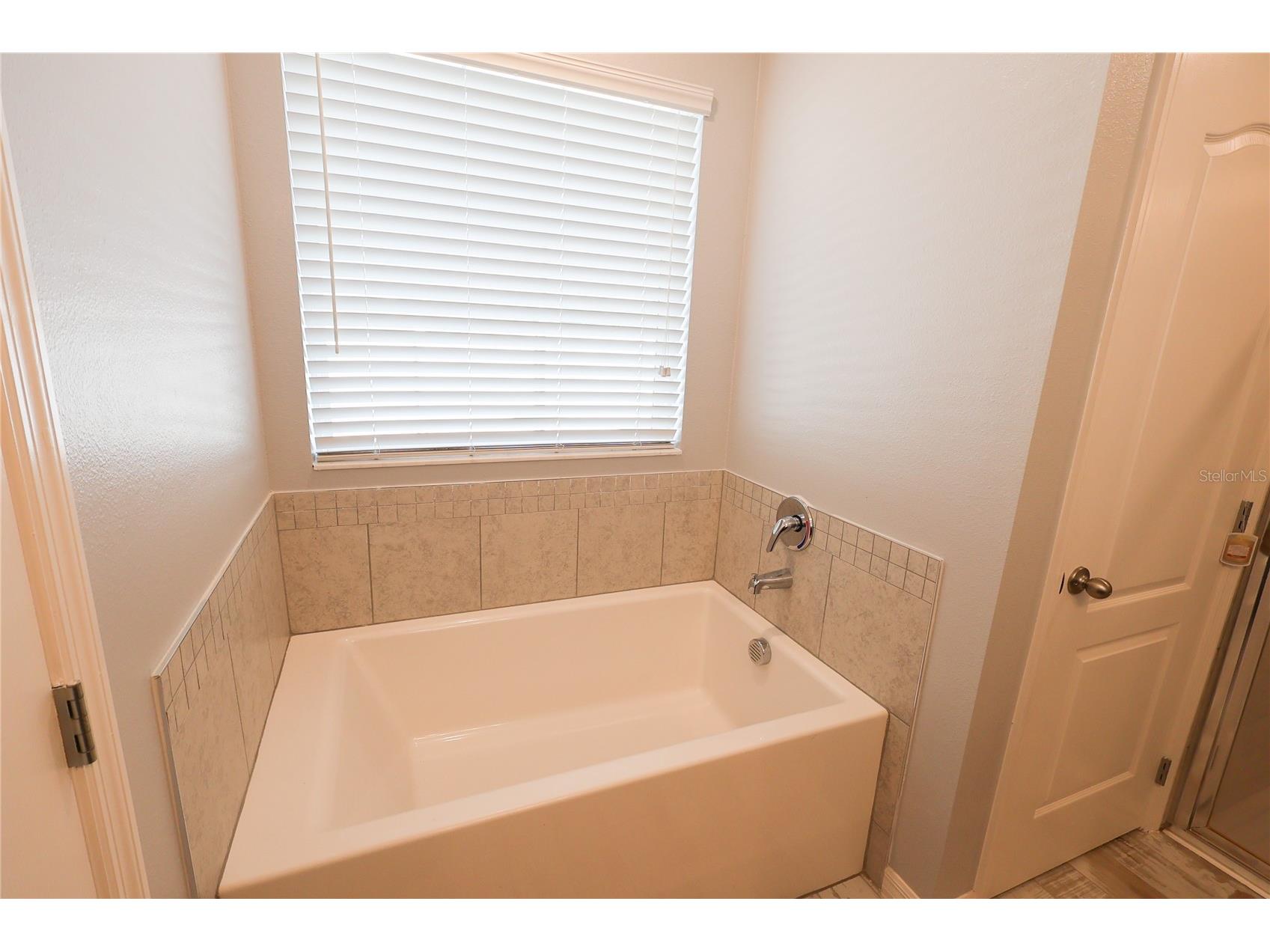 2389 Rock Drive Kissimmee FL 34759 P4938754 image27