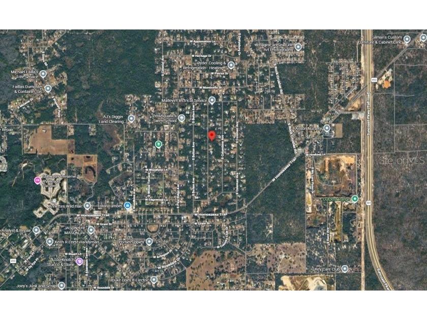 2389 S Bascombe Avenue Homosassa FL 34448 TB8495900 image2