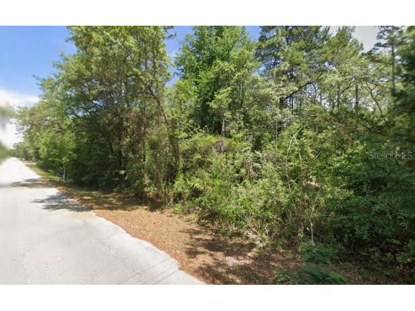 2389 S Bascombe Avenue Homosassa FL 34448 TB8495900 image5
