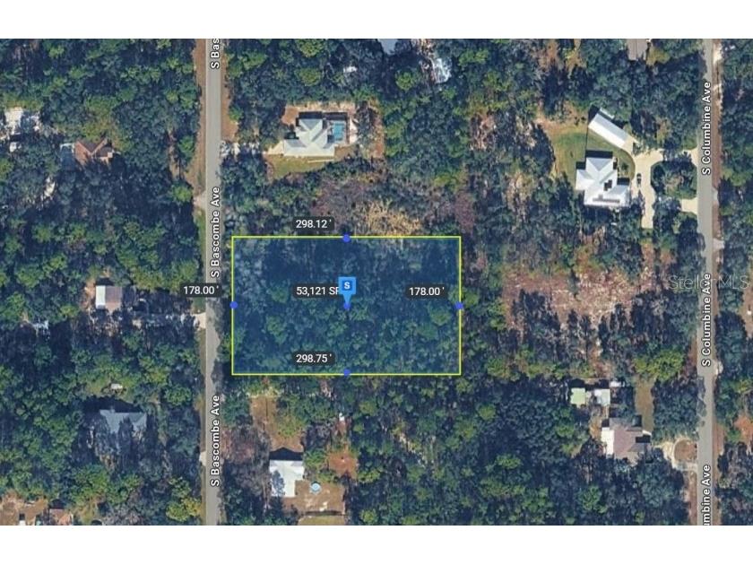2389 S Bascombe Avenue Homosassa FL 34448 TB8495900 image6