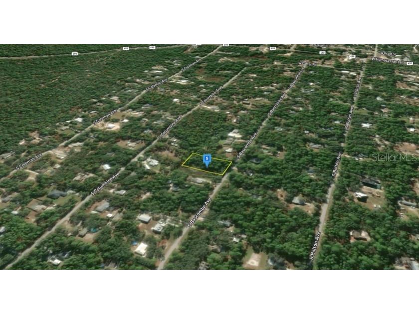 2389 S Bascombe Avenue Homosassa FL 34448 TB8495900 image7
