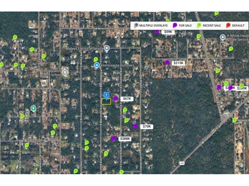 2389 S Bascombe Avenue Homosassa FL 34448 TB8495900 image8