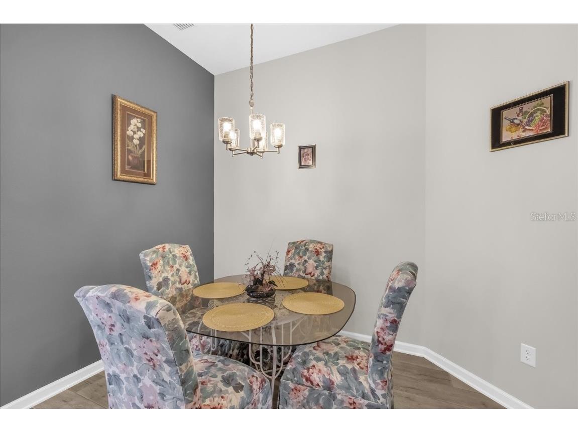 2389 Tiffany Terrace The Villages FL 32163 G5100783 image8