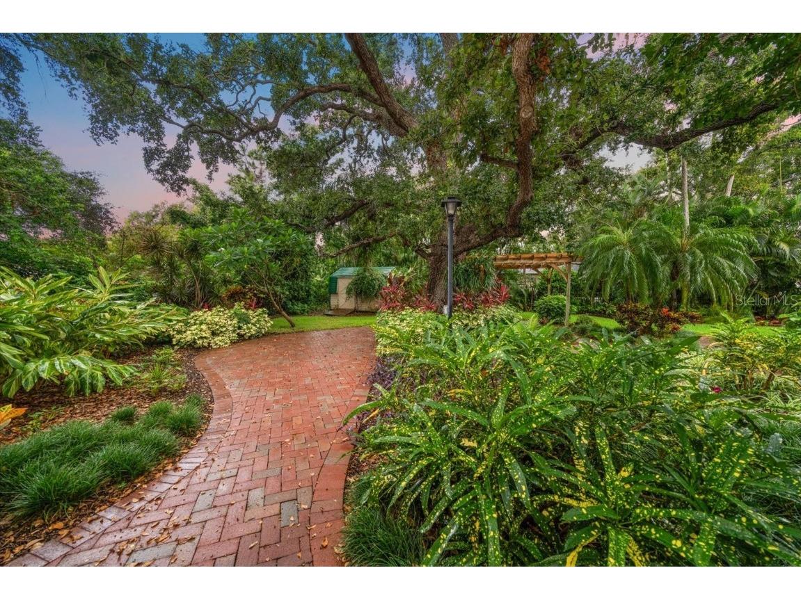 239 Florida Avenue Dunedin FL 34698 TB8409554 image27