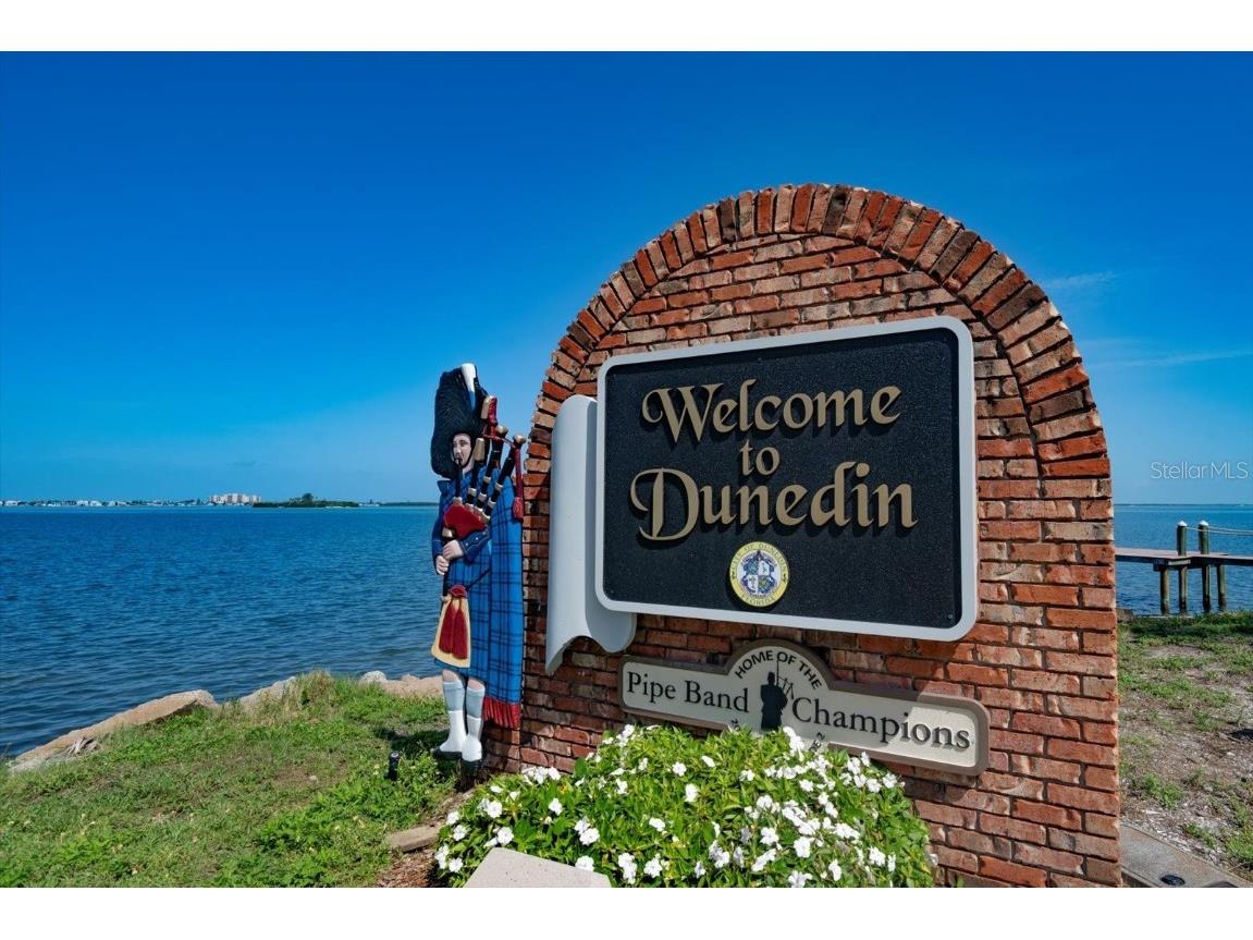239 Florida Avenue Dunedin FL 34698 TB8409554 image37