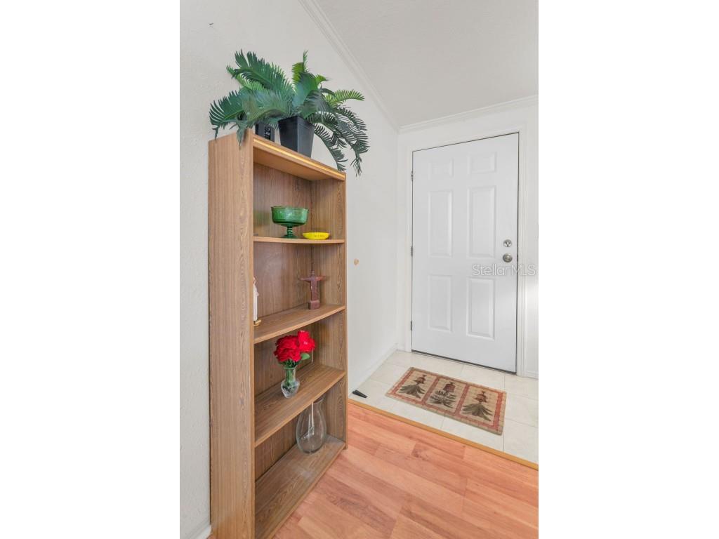 239 Harmony Way Tarpon Springs FL 34689 TB8420743 image17