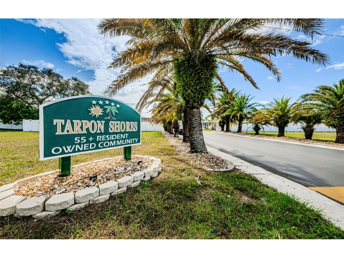 239 Harmony Way Tarpon Springs FL 34689 TB8420743 image29