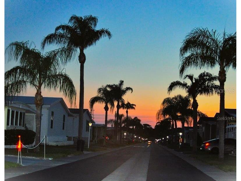 239 Harmony Way Tarpon Springs FL 34689 TB8420743 image31