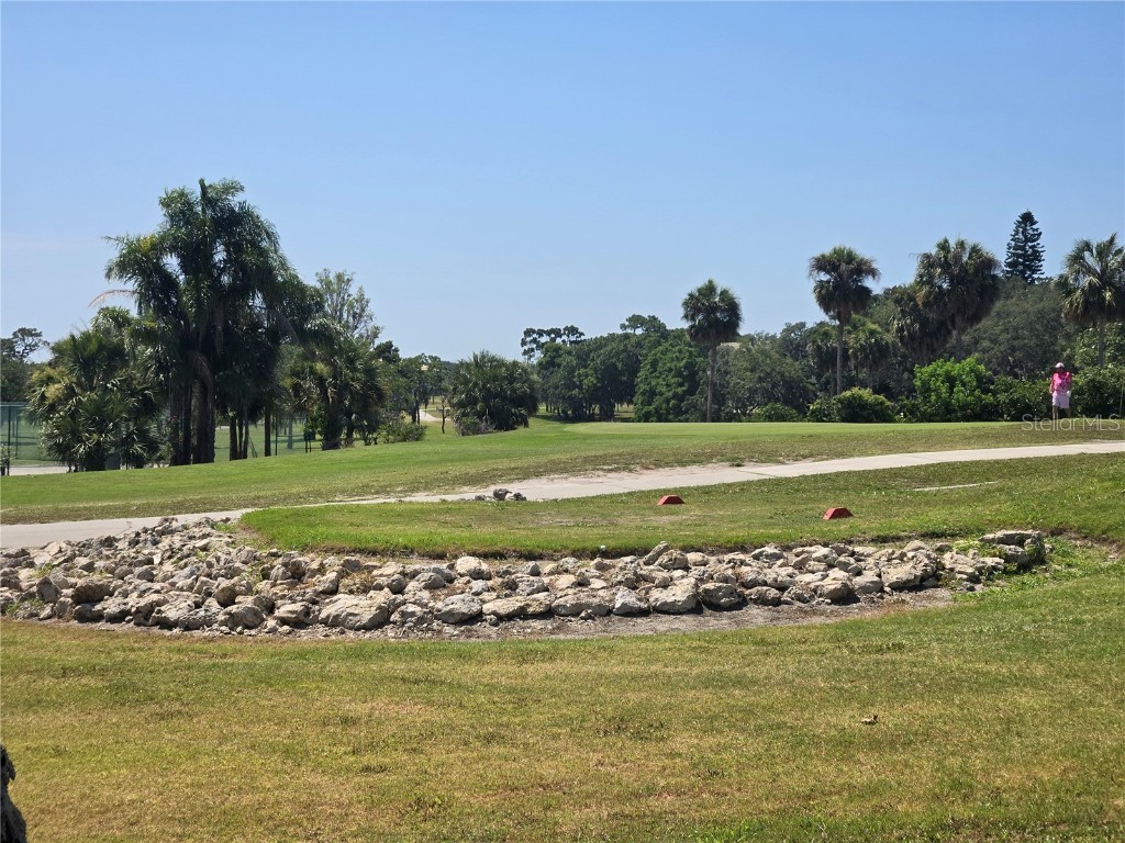 239 Harmony Way Tarpon Springs FL 34689 TB8420743 image55