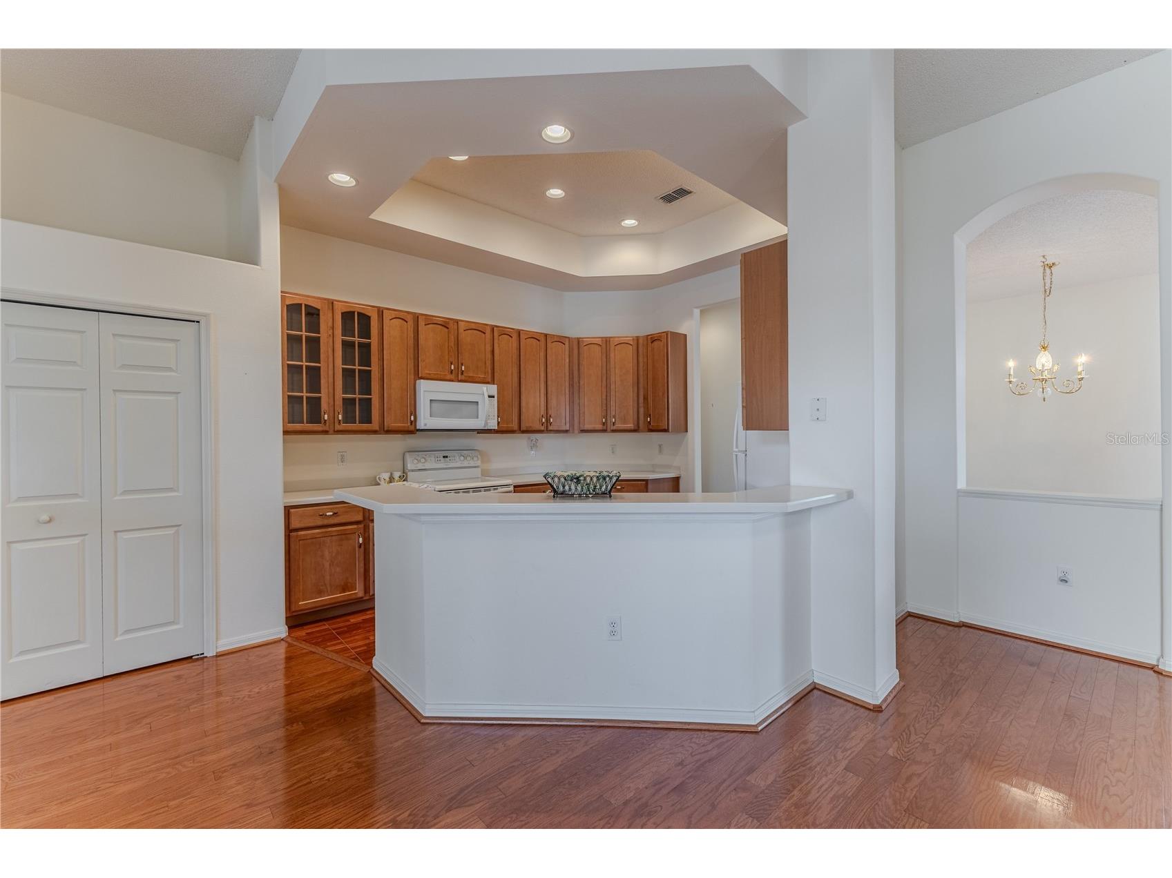 239 Longleaf Court Spring Hill FL 34609 W7883126 image16