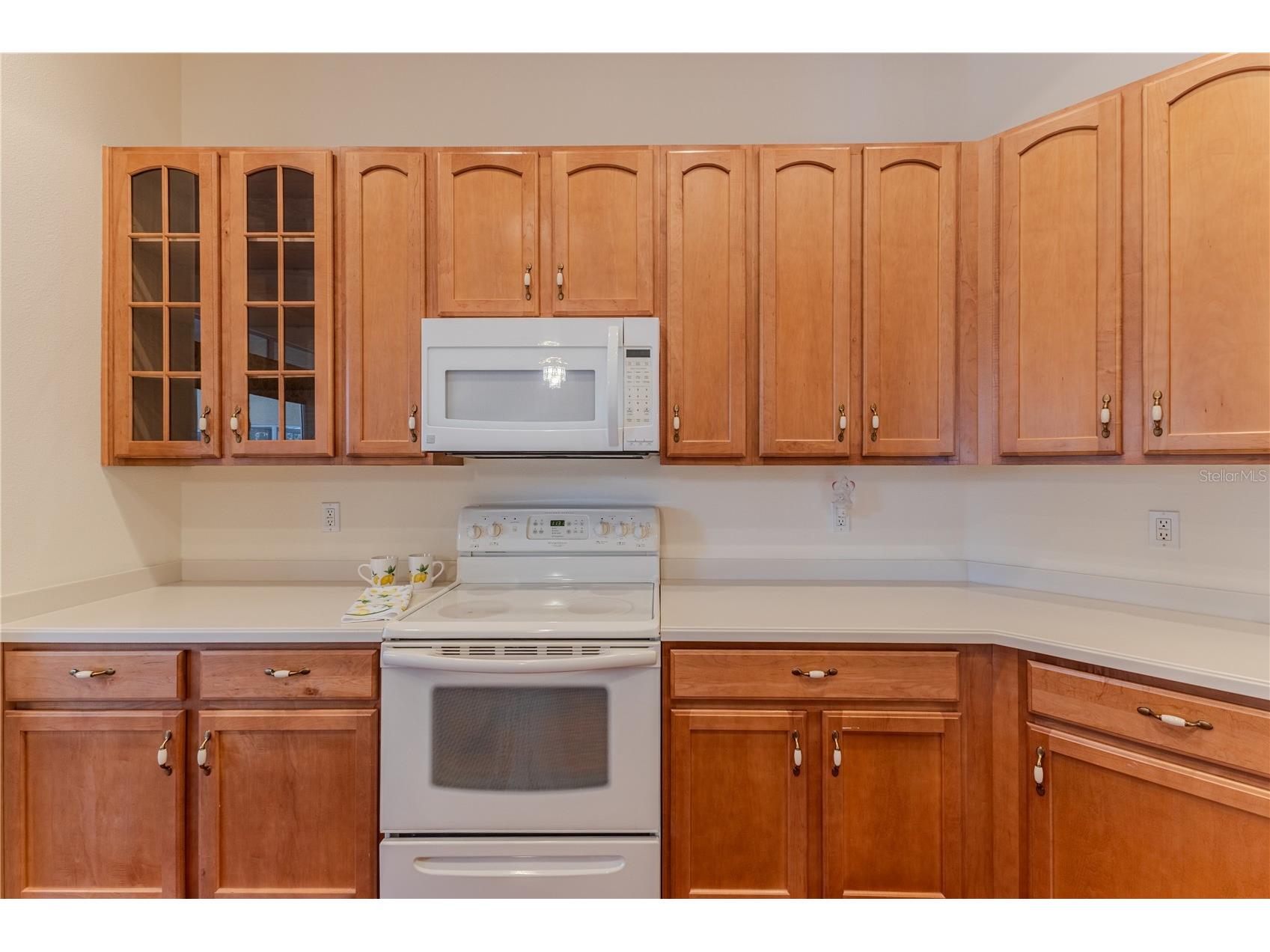 239 Longleaf Court Spring Hill FL 34609 W7883126 image21