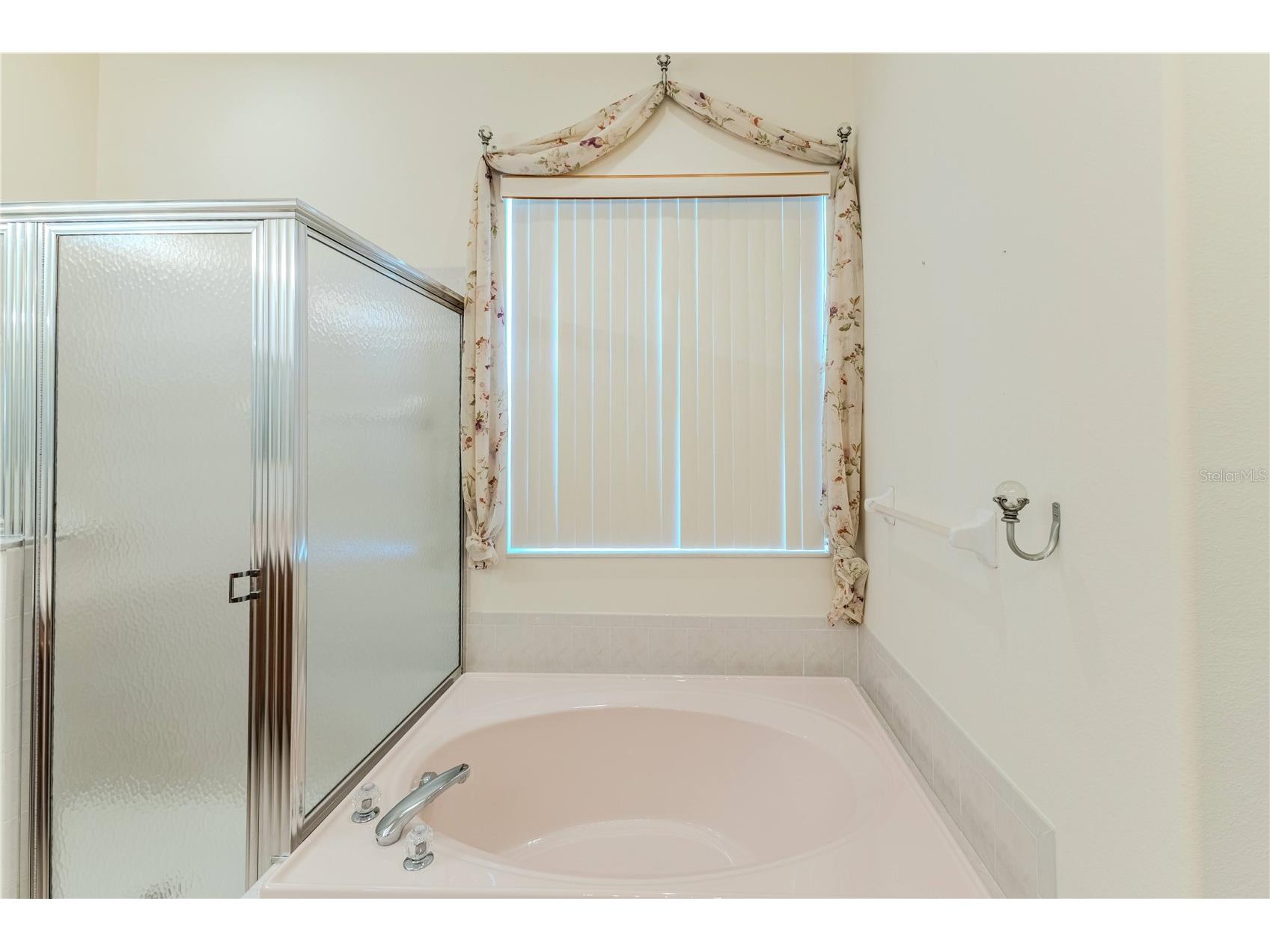 239 Longleaf Court Spring Hill FL 34609 W7883126 image30