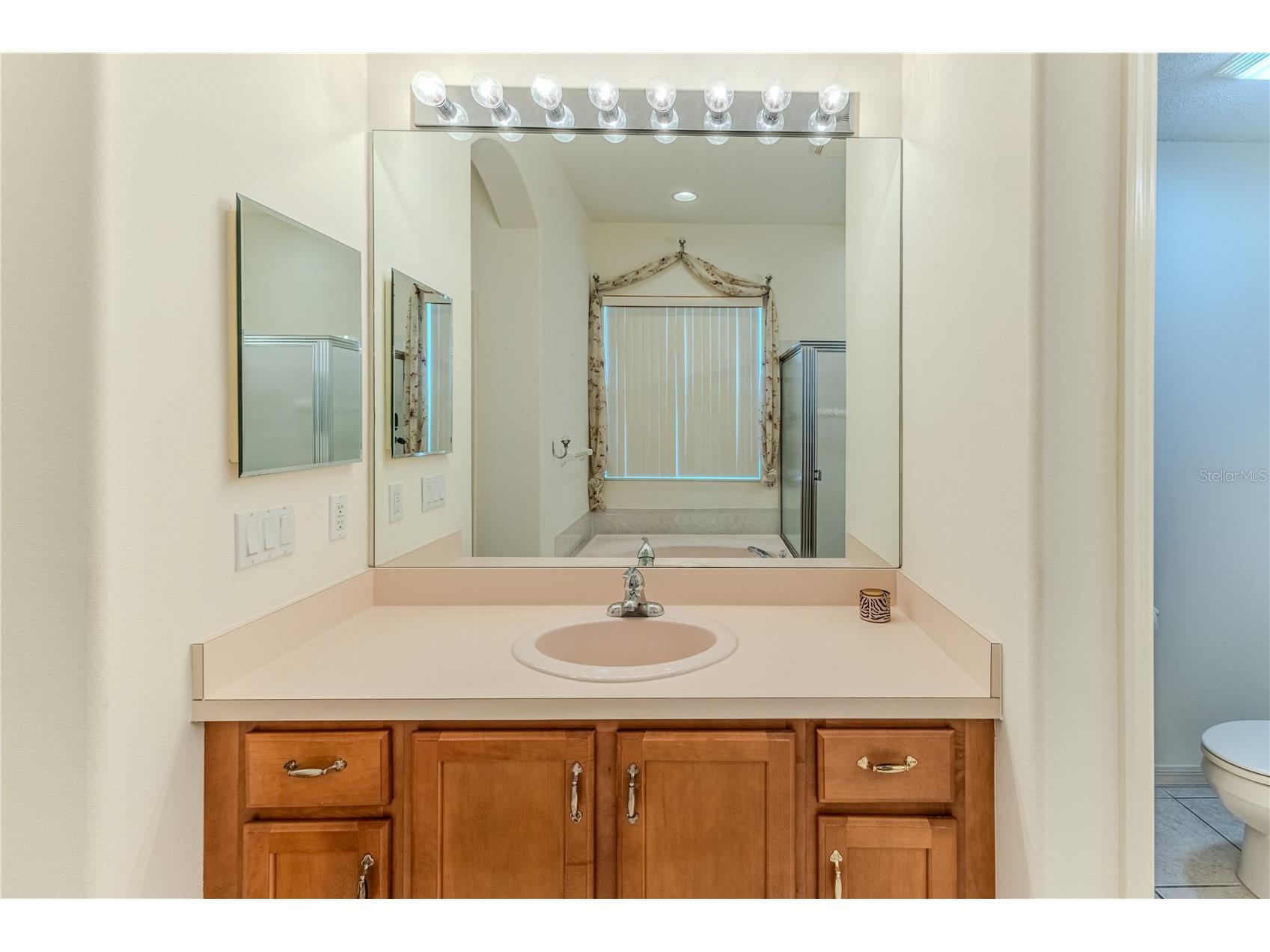 239 Longleaf Court Spring Hill FL 34609 W7883126 image31