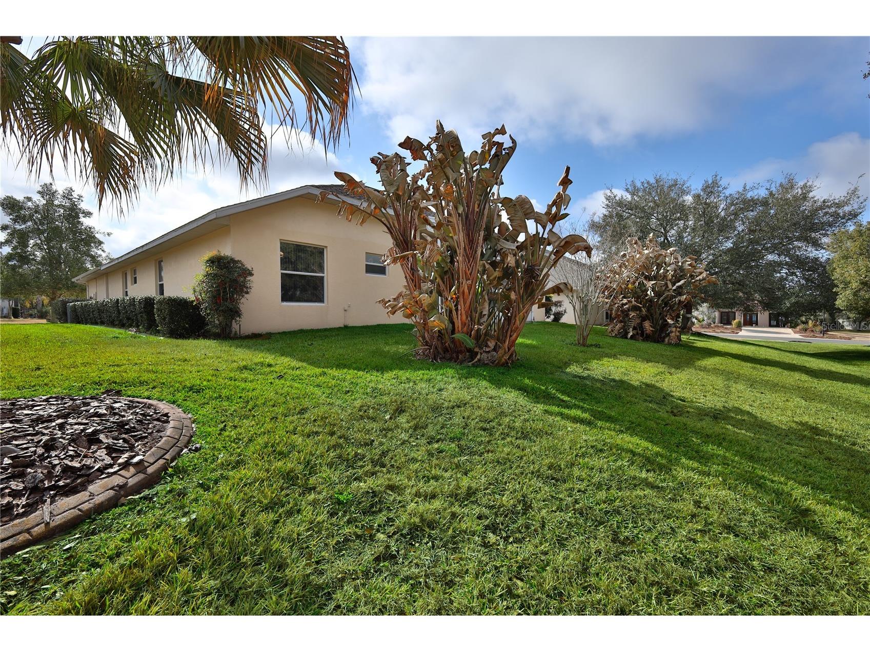 239 Longleaf Court Spring Hill FL 34609 W7883126 image54